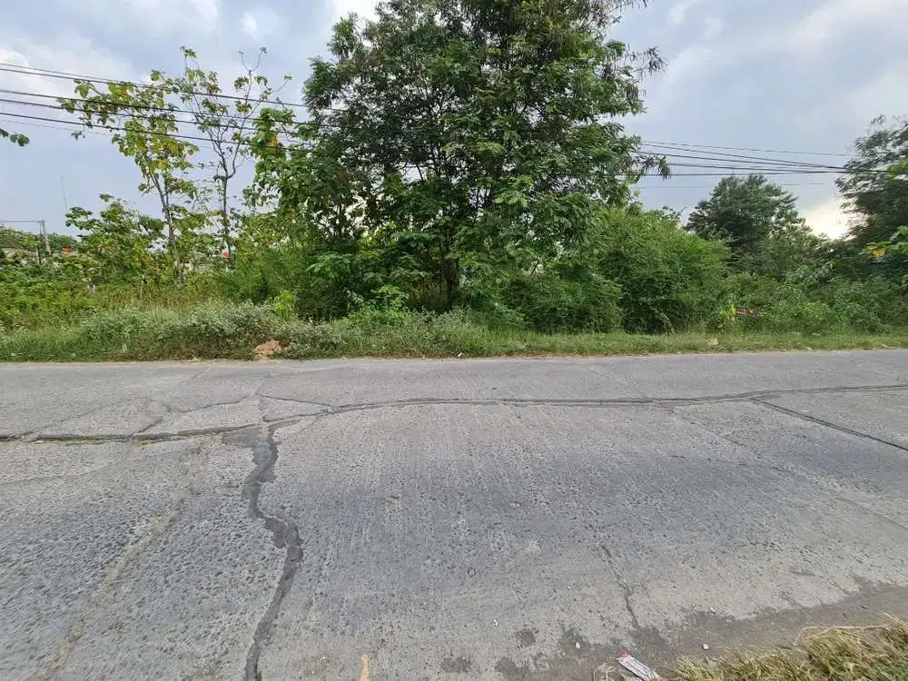 Tanah Pekarangan Siap Bangun di Plesungan Gondangrejo Solo