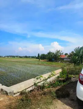 Kavling sawah produktif