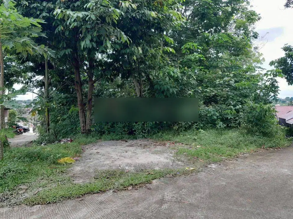 TANAH PINGGIR JALAN COR PERUMAHAN LOKASI INDRAKILA DAERAH STRATEGI