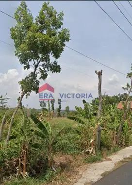 Jual Tanah SHM 2666m2 Cocok Dibangun Perumahan di Ngetos Kab Nganjuk