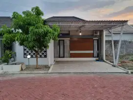 Disewakan Rumah di Perumahan Taman Lavender (Paris)