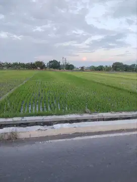 TANAH 0 JALAN DESA MAGERSARI MOJOKERTO