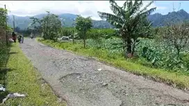 Tanah Murah Nongkojajar Purwodadi Pasuruan View Bagus