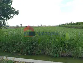 tanah 3848 m2 di Area Kampung Inggris Pare Kab Kediri Dijual