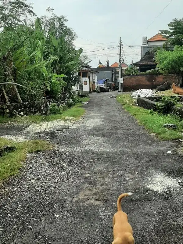 jual cepat tanah satunya di pemogan