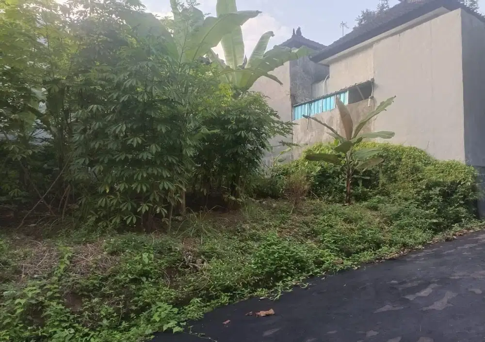 DIJUAL TANAH SIAP BANGUN VIEW JUNGLE  DAN SUNGAI DI TABANAN MD