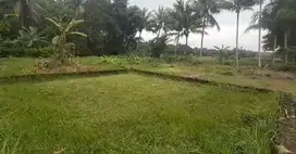 TANAH KAVLING VIEW SAWAH TERSEDIA 3 DKT JL GOTAKAN KULON PROGO.JK13430