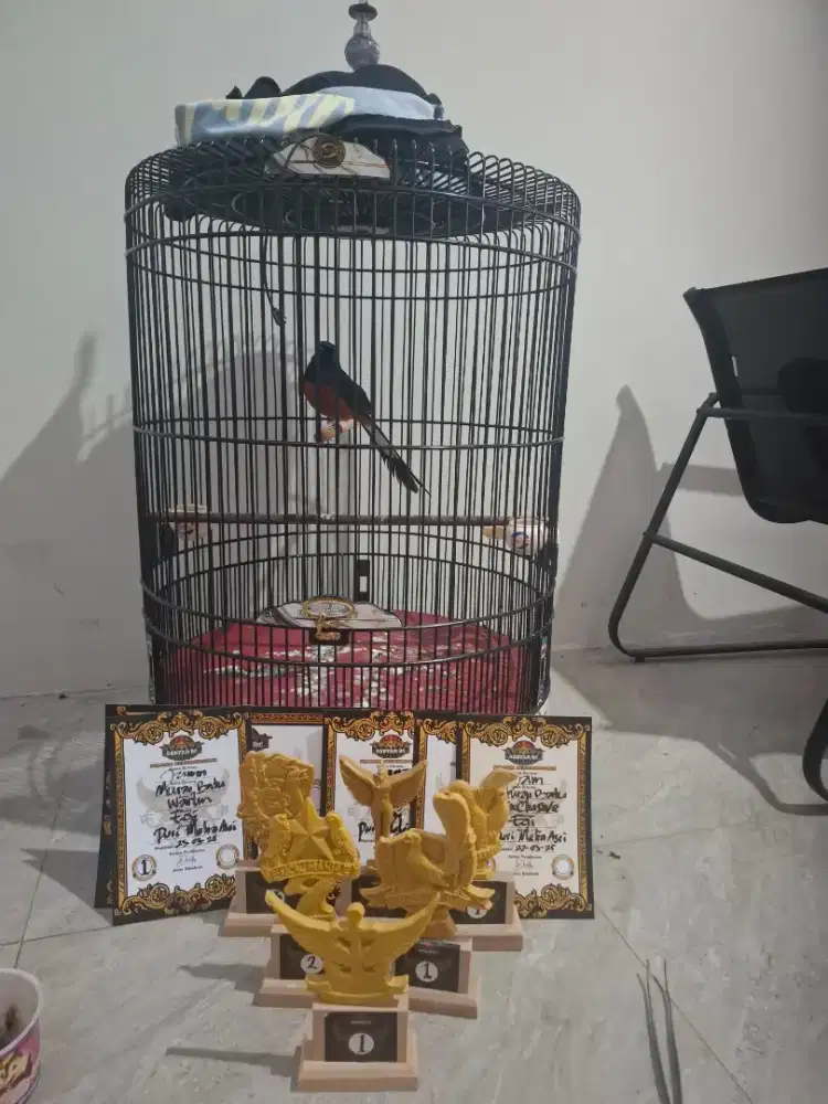 Murai Batu Prestasi