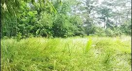 Jual Tanah Industri di Citeras, Rangkasbitung - Lebak Banten