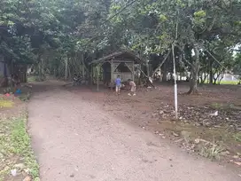 Tanah Hook Di Nyapah Dekat Stasiun Walantaka
