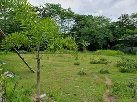 Tanah Pekarangan Siap Bangun di Plesungan Gondangrejo Solo