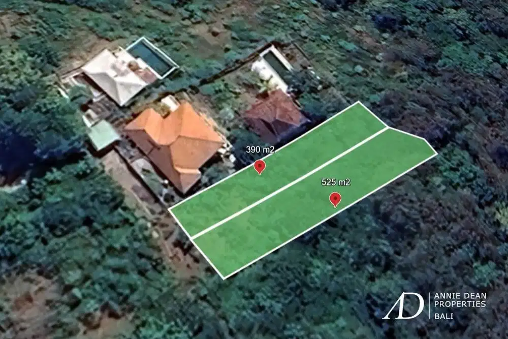 FREEHOLD LAND IN SINGARAJA NEAR LOVINA (9.15 ARE)