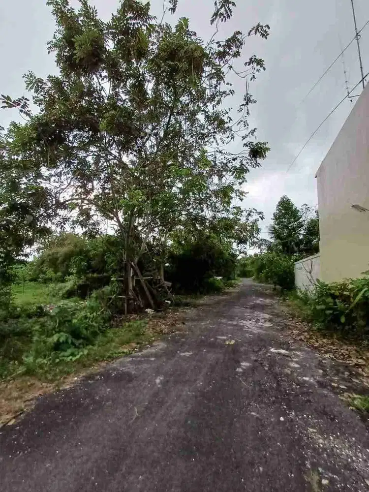 tanah1540m² kawasan pandawa beach kutuh Badung Bali