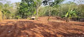 Jual tanah BU  di desa Gondoriyo, Kab. Semarang, Jawa Tengah