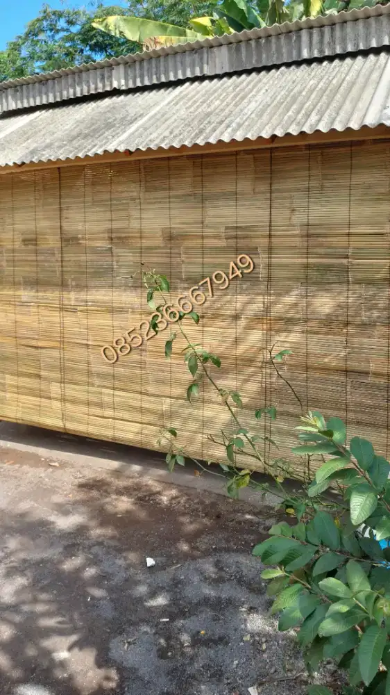 Tirai bambu biasa cod