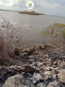 Dijual Tanah 74 are di Pemongkong Desa Jerowaru, Kabupaten Lombok, NTB