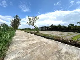 Tanah Pekarangan Murah Jogja Utara, Cocok Villa/Homestay