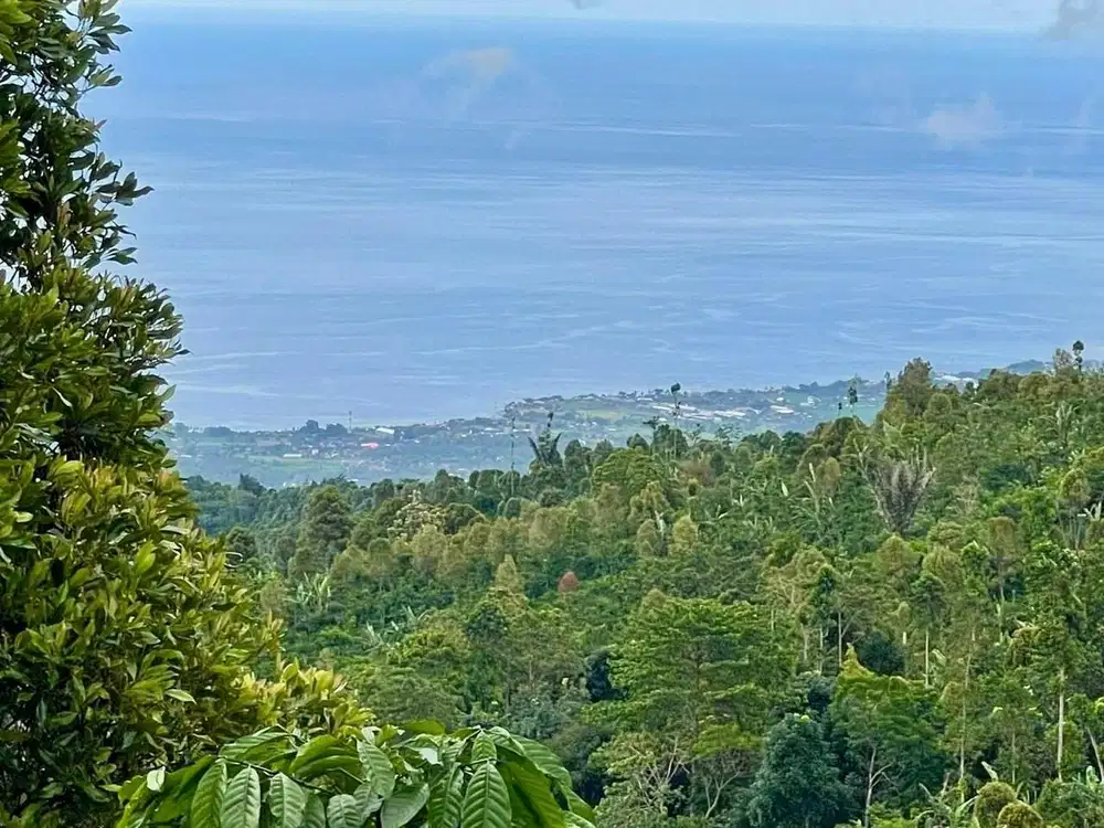 Tanah Full View Pantai Lovina Bangkiang Sidem Buleleng Bali