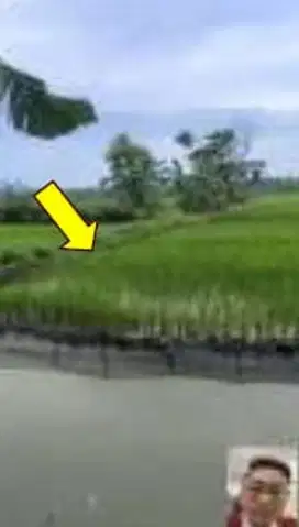 TANAH DI DESA NGAMBEG, PUCUK LAMONGAN