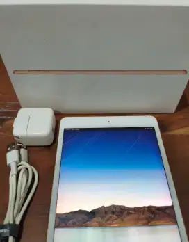 IPad Mini 5 64 GB - Gold wifi only