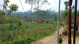 Jual tanah kebun kopi Ciwidey