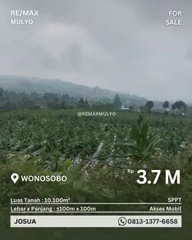 Dijual Tanah Seluas 10.100 m2 Sudah Akses Mobil Area Wisata Wonosobo