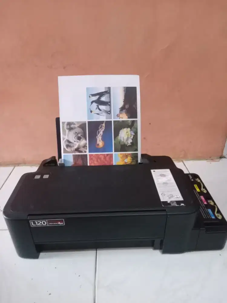Printer epson l120