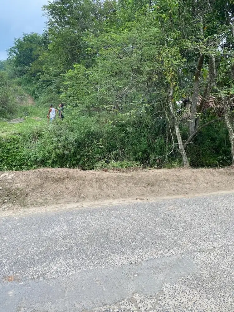Dijual tanah daerah jonggol jalan peta derjad