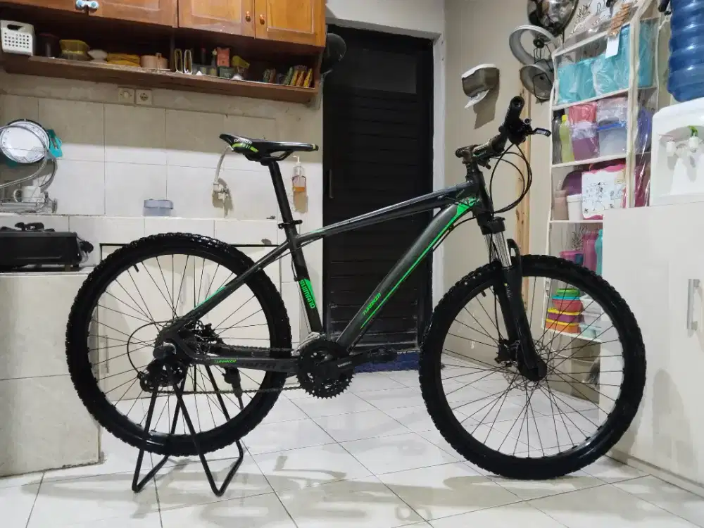 Sepeda mtb Pacific Turanza