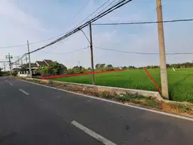 TANAH DI KELURAHAN GUNUNGGEDANGAN, MAGERSARI MOJOKERTO