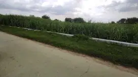TANAH DI KELURAHAN SUKOBENDU, MANTUP LAMONGAN