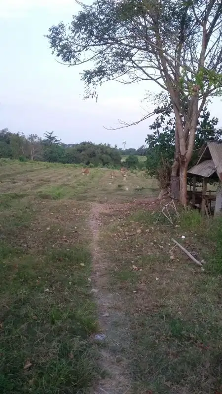 Dijual tanah by pass ida bagus mantra pantai siyut / lebih Gianyar