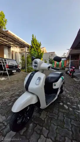 Dijual Fazzio Terawat Tahun 2022