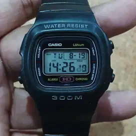 CASIO DW-310 VINTAGE