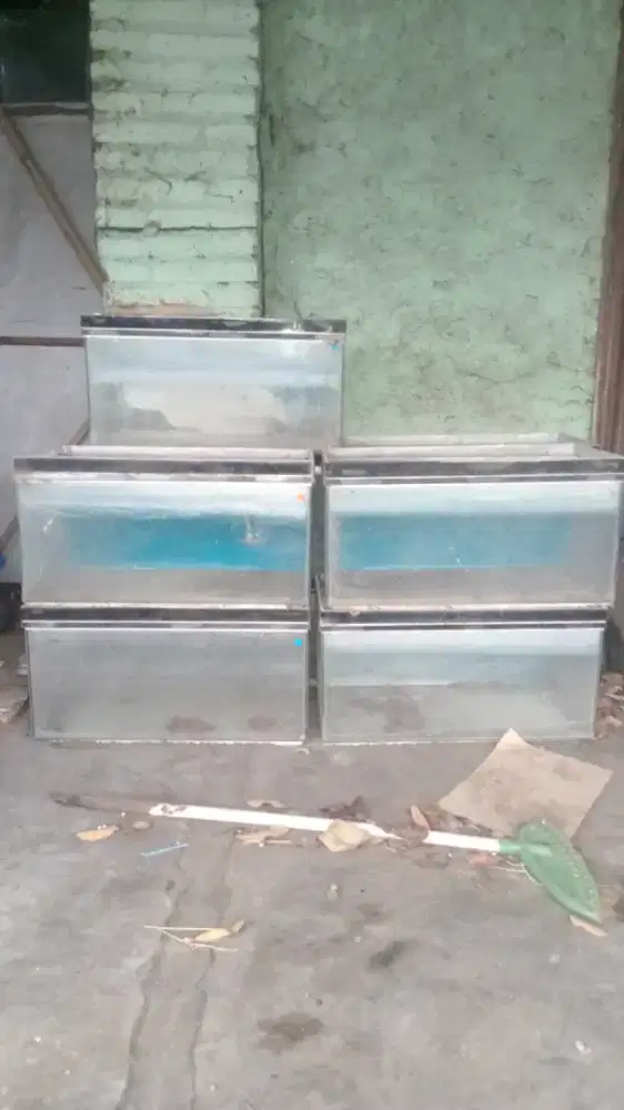 Borong aquarium murah 50x25x25, 9 pcs, 100rb.