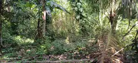 di kontrakan tanah view sungai hanya 5 menit ke ubud kota
