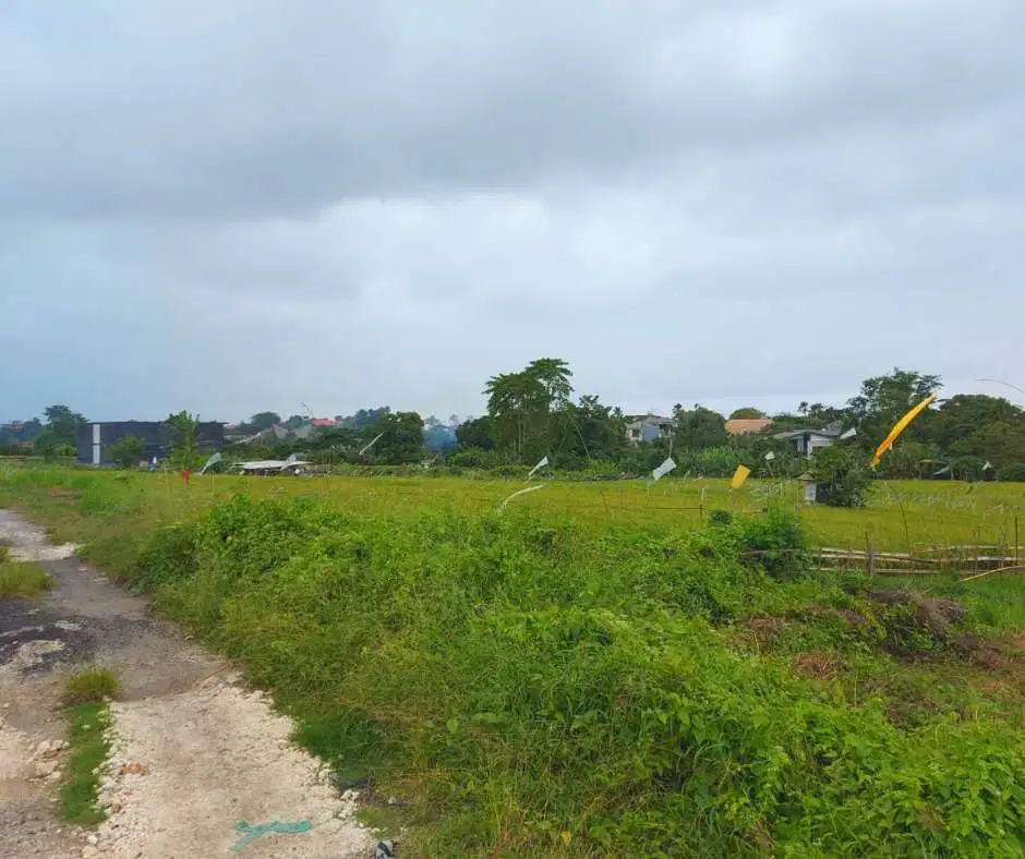 FOR SALE LAND WITH RICE FIELD VIEW AT BERAWA CANGGU