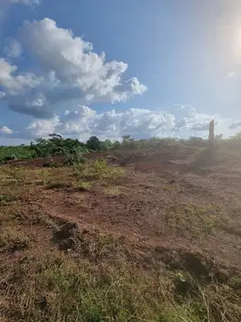 Dijual tanah kawasan industri tuban