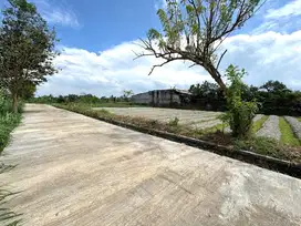 Jual Murah Tanah Pekarangan Jogja Utara, Siap Bangun