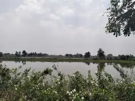 TANAH DI KELURAHAN POMAHANJANGGAN, TURI LAMONGAN