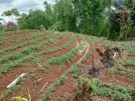 Dijual kavling sayap Parakan muncang Sumedang luas 1200m² SHM