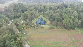 TANAH INDUSTRI COCOK UNTUK KAWASAN DI LEBAK BANTEN  AKSES KONTAINER