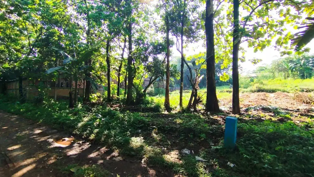 Dijual Tanah Siap Bangun di Ciangsana Gunung Putri Bogor