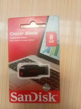Flashdisk sandisk