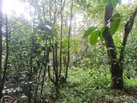 Tanah Produktif Siap Tanam Lahan Subur Paswahan Purwakarta