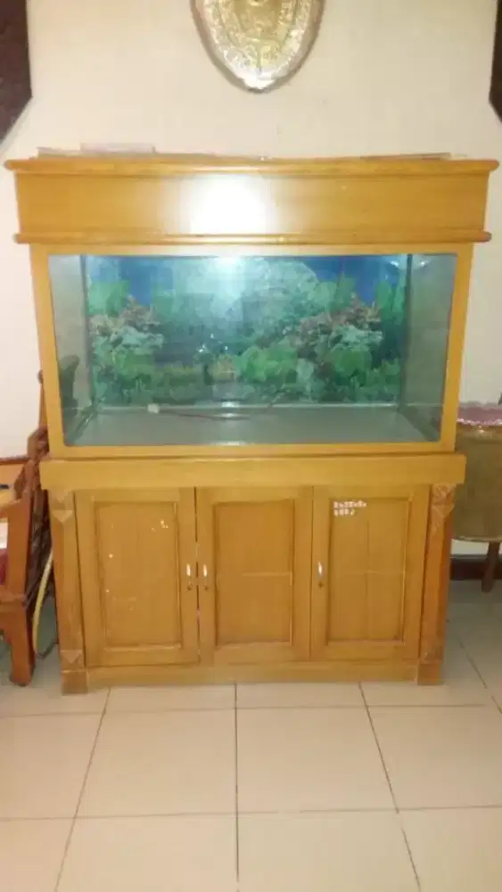 Aquarium Bekas Plus Lemari dan Tutupnya