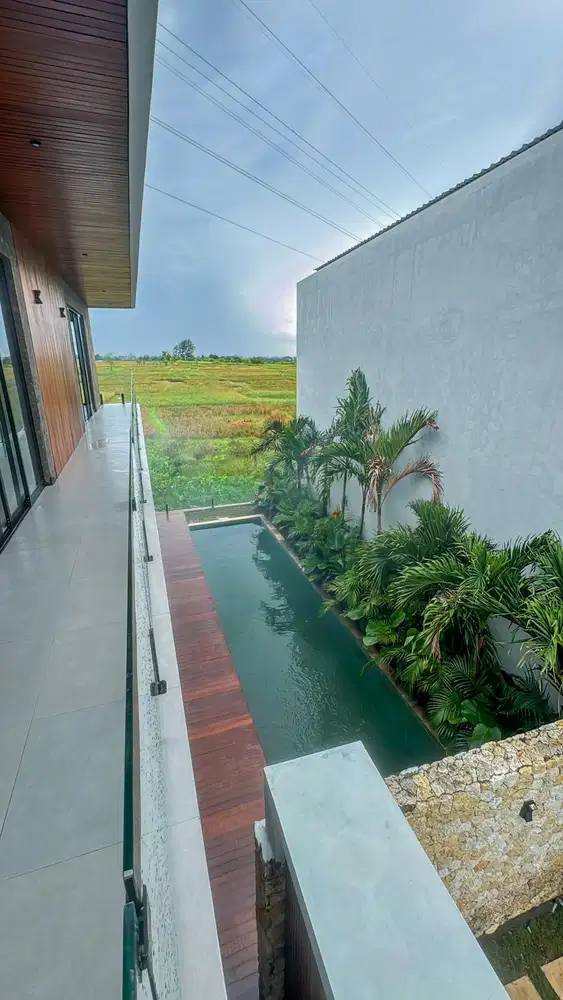 Brand New Contemporary Villa Design with Ricefield View