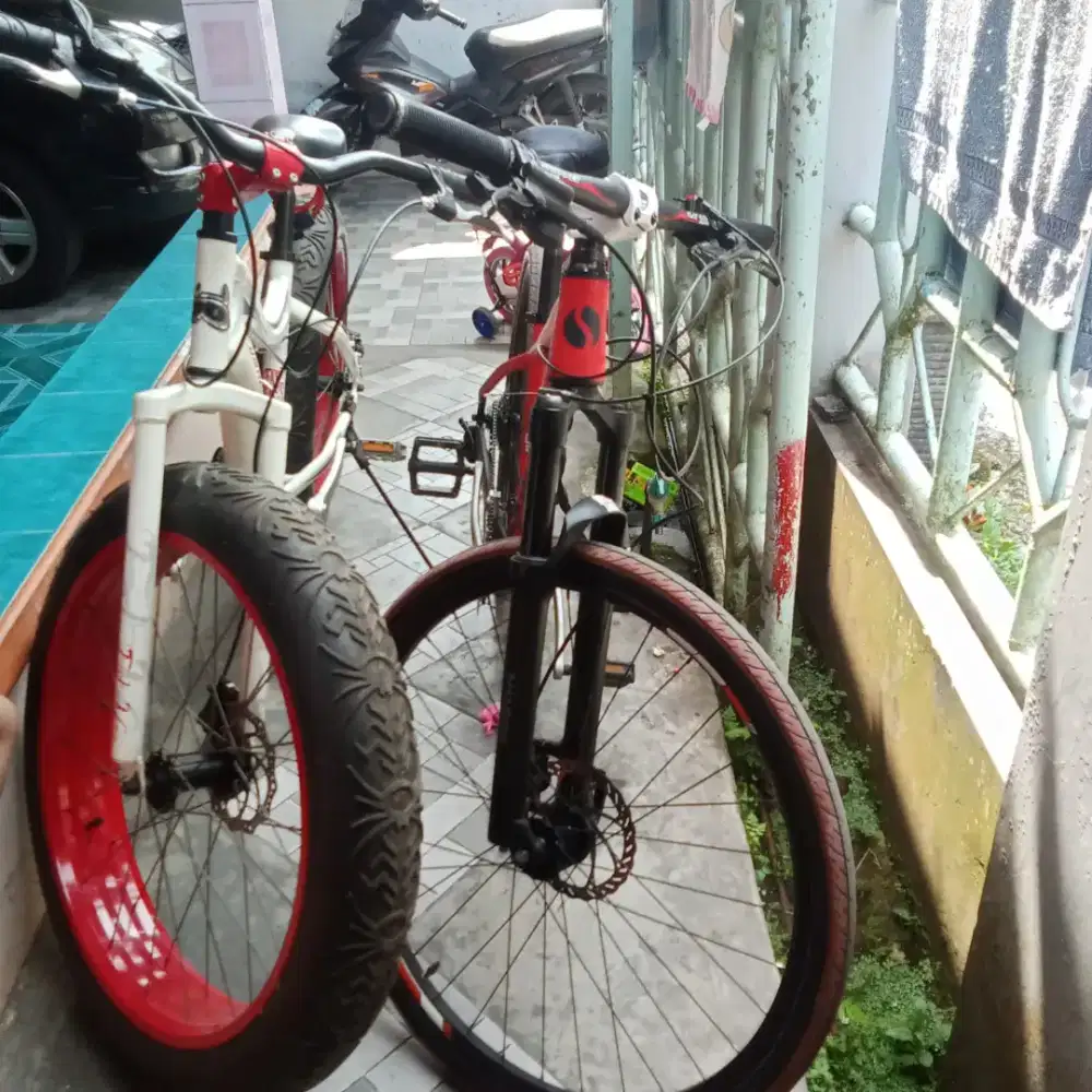 Jual dua sepeda bekas merek Wimcylce dan Shadow by united