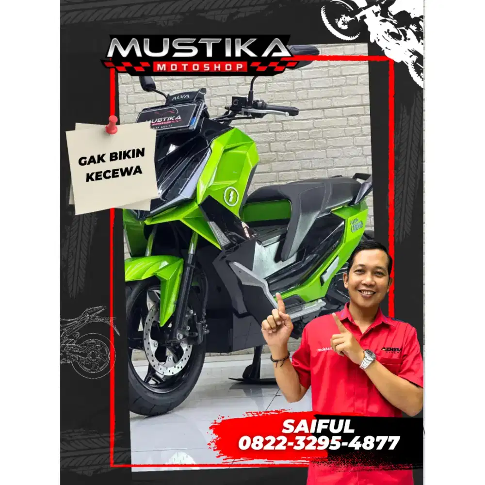 Odo 7rb Istimewa!!Molis Alfa Cervo 2024 Warna Favorit Mulus-Mustika