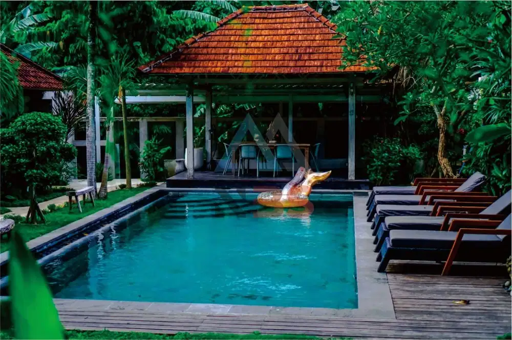 FOR SALE VILLA EROPA STYLE WITH BIG GARDEN LIKE UBUD VIBES